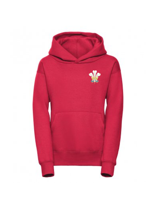 Childrens Wales Hoodie image 0