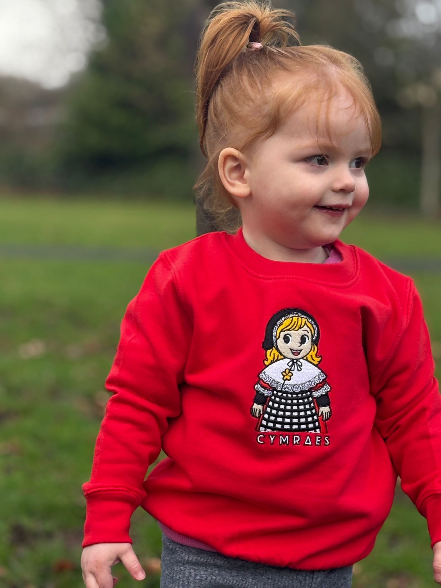 Cymraes Newydd Jumper image 12