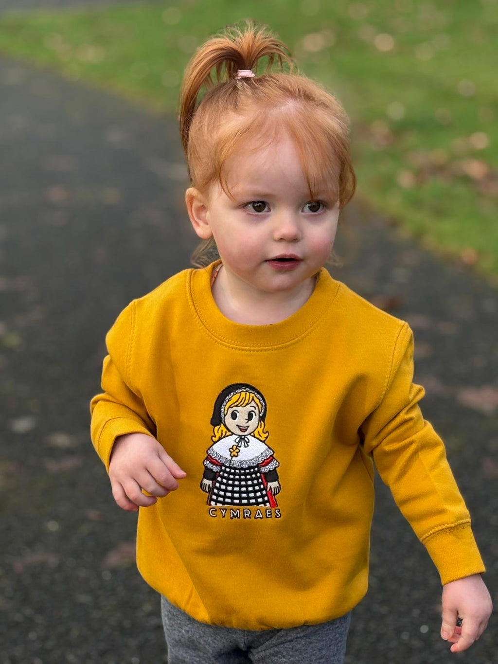 Cymraes Newydd Jumper image 13