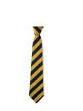 Maesydderwen velcro fasten Tie image 0
