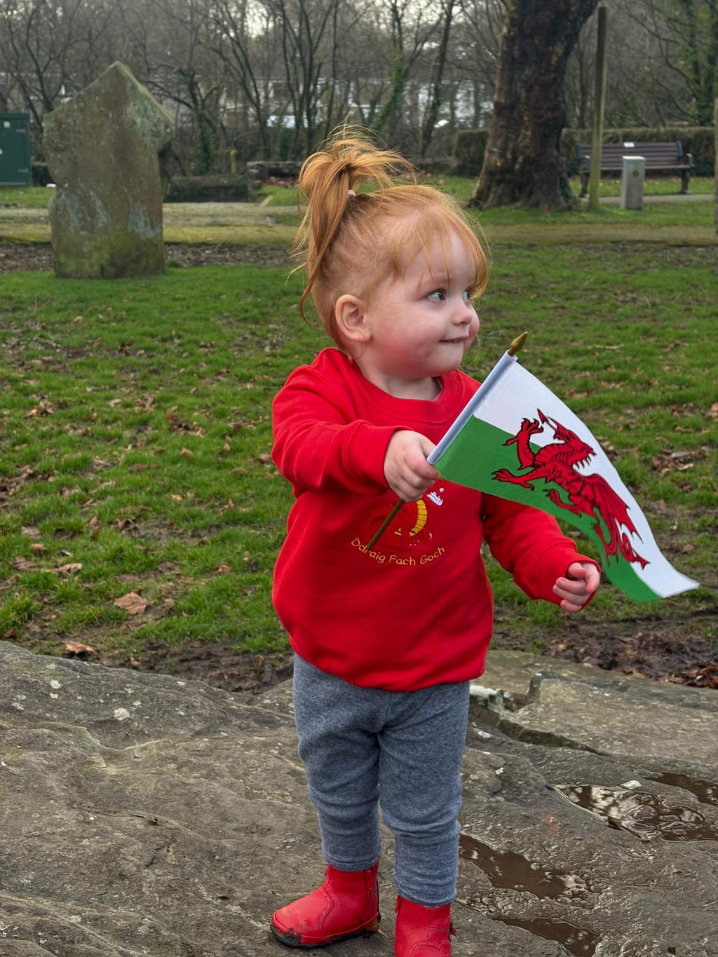 Cymraes Newydd Jumper image 8