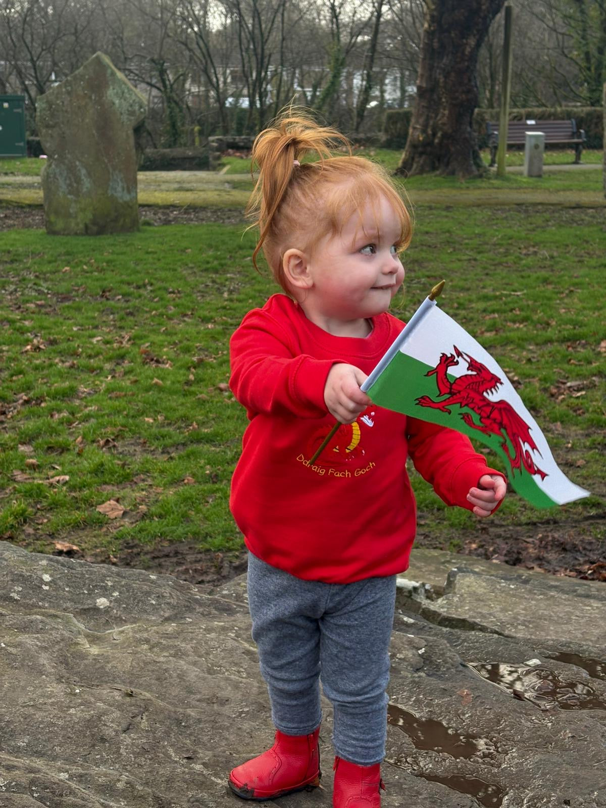 Cymraes Newydd Jumper image 8