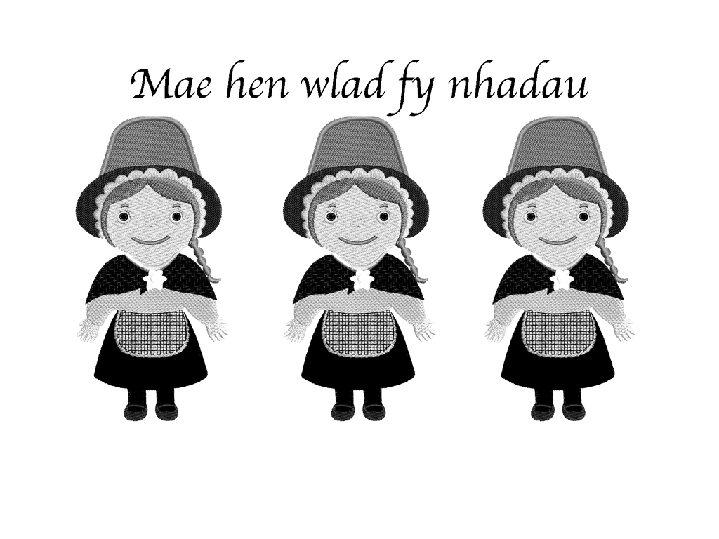 Welsh Ladies Hoodie image 5