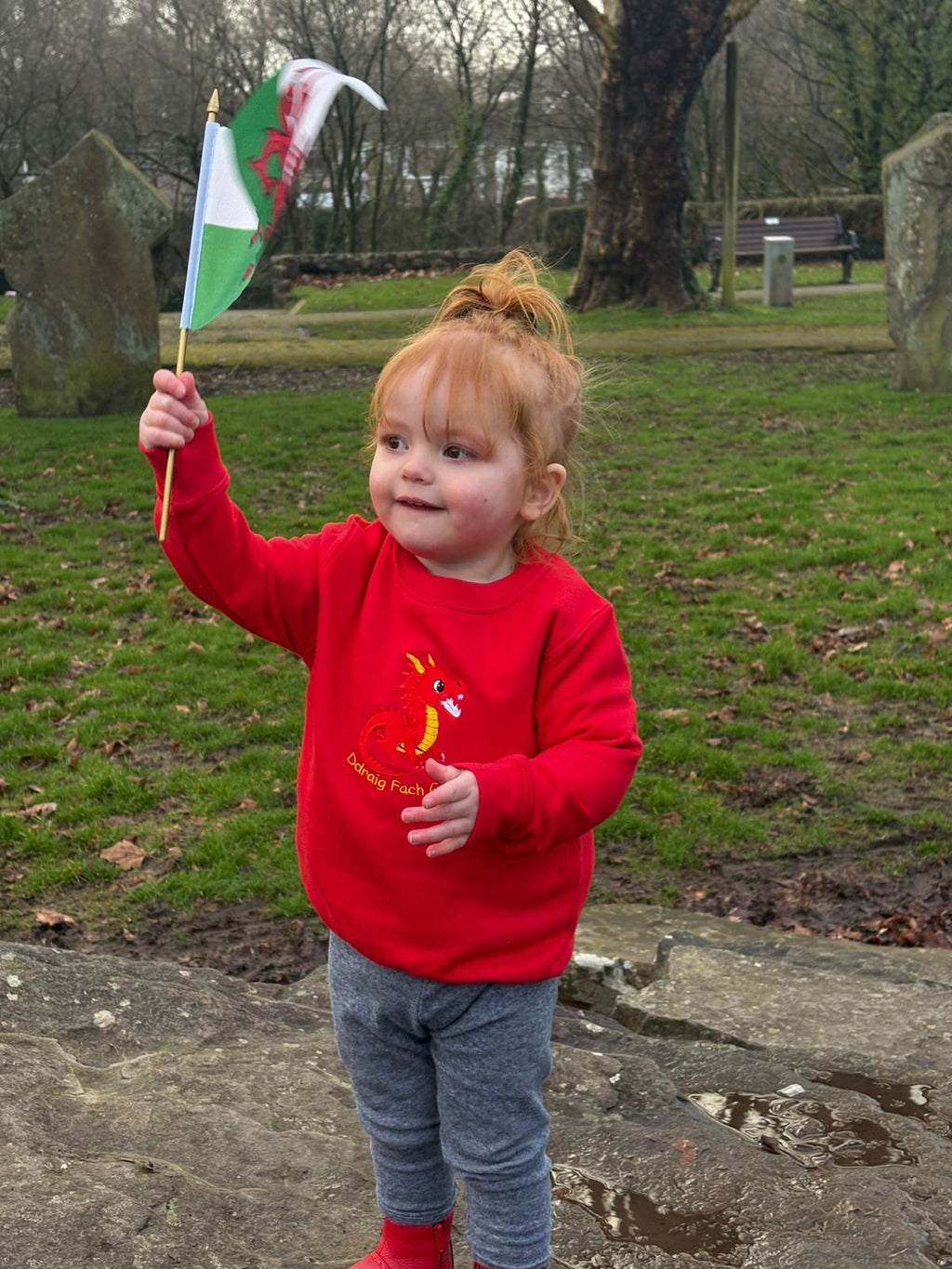 Cymraes Newydd Jumper image 11