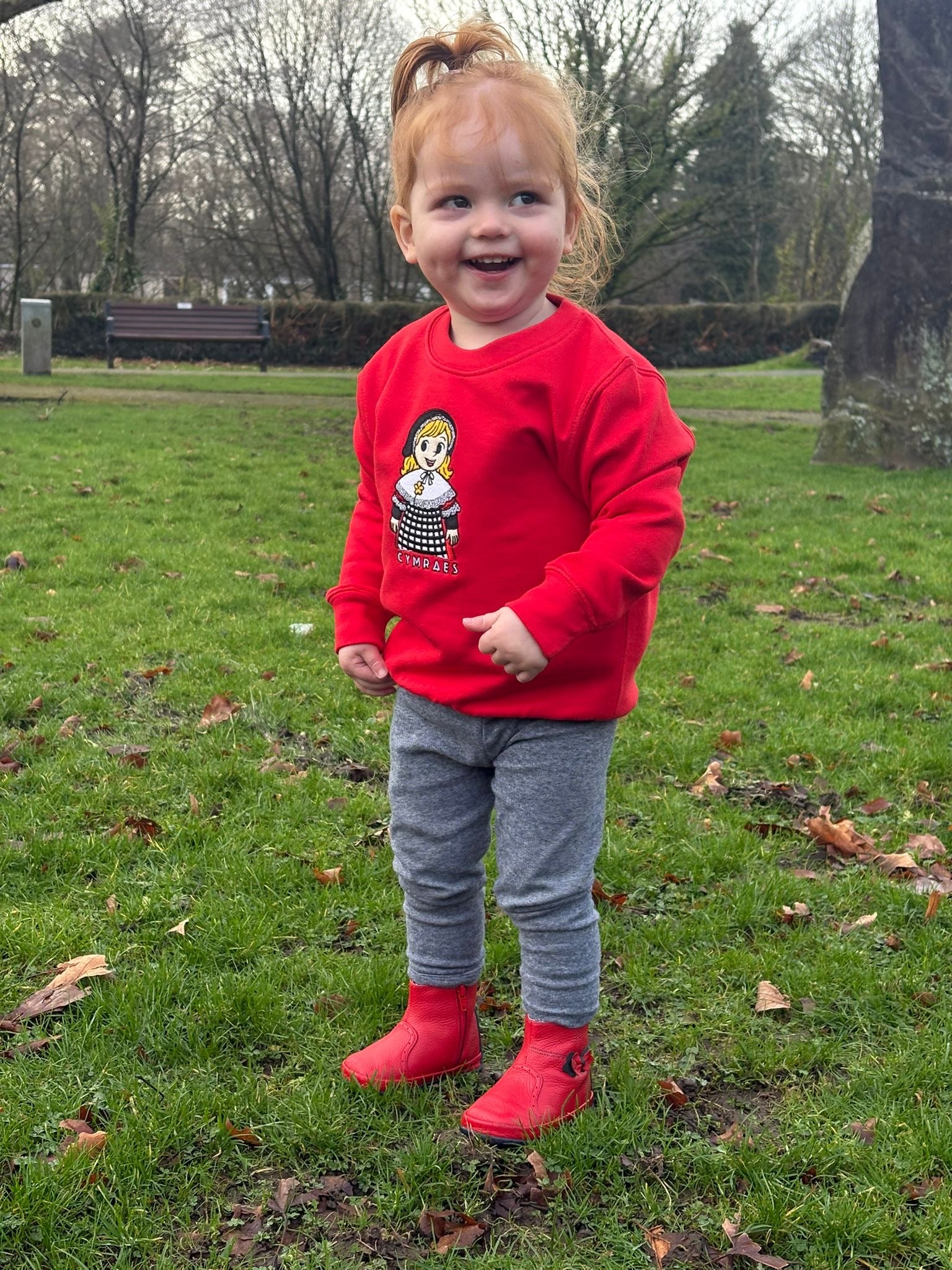 Cymraes Newydd Jumper image 14