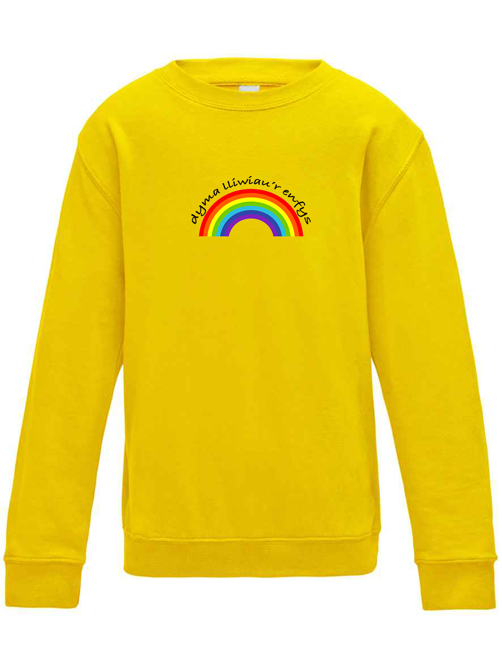 Dyma lliwiau’r enfys jumper image 4