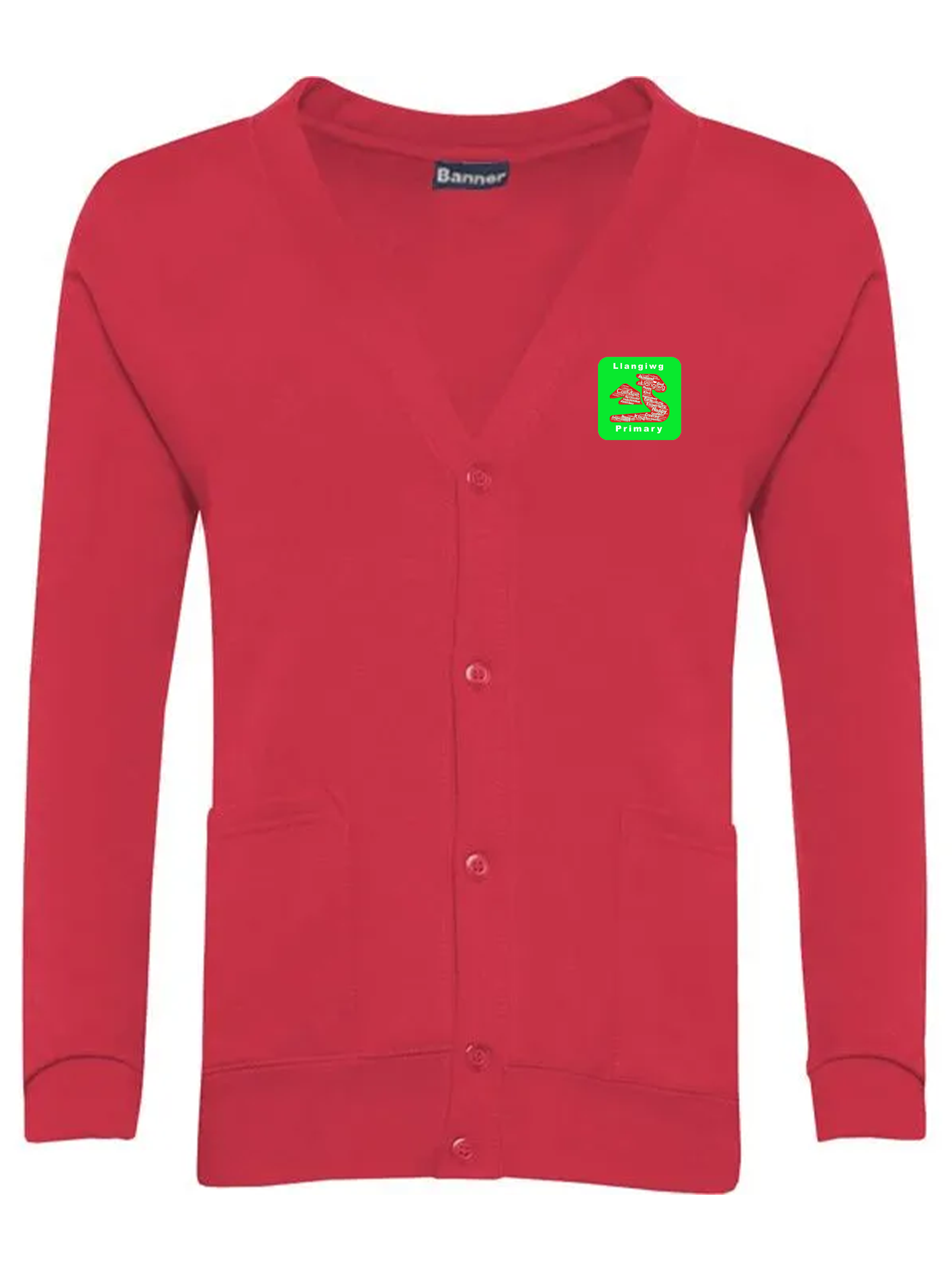Llangiwg Primary School Cardigan