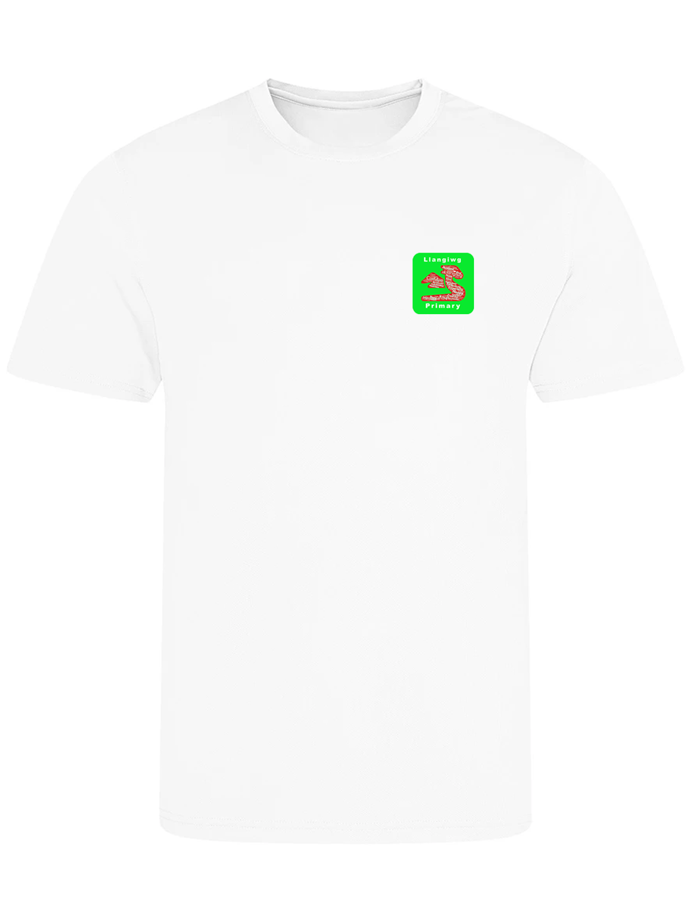 Llangiwg Primary School PE T-Shirt