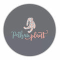 Pethau Plant Gift Card