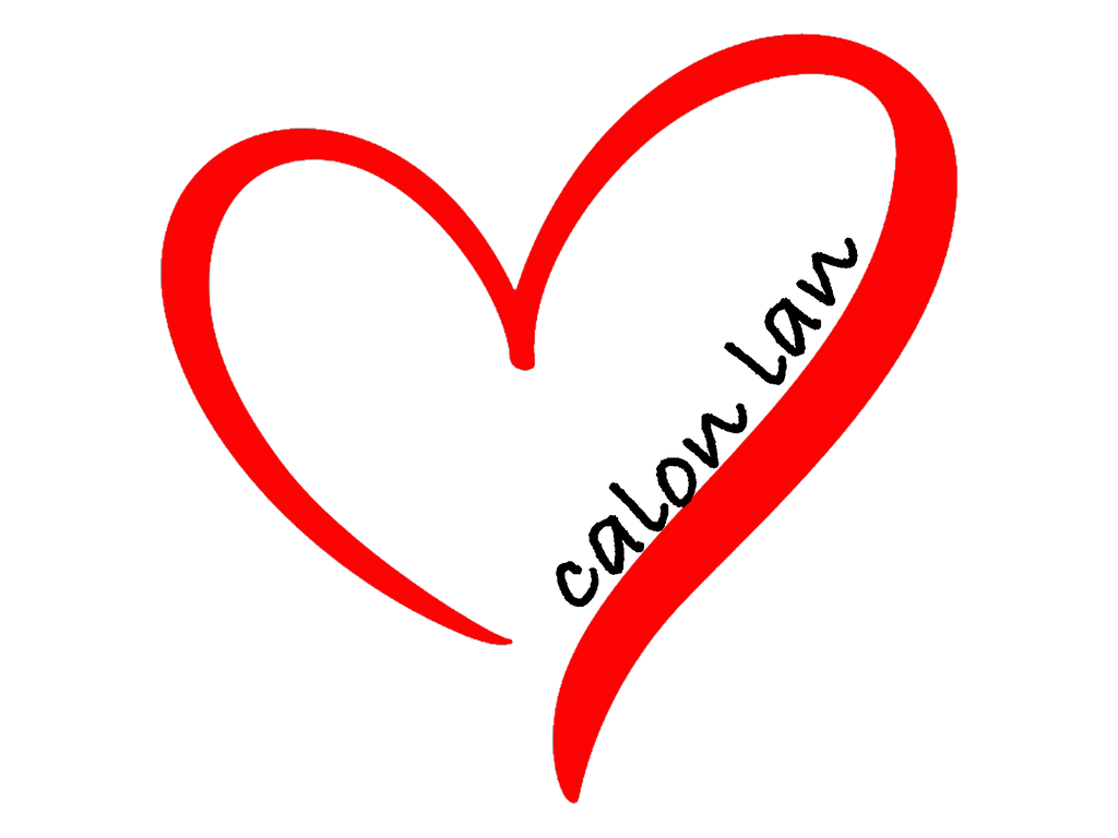 Calon Lan Ladies Hoodie image 9