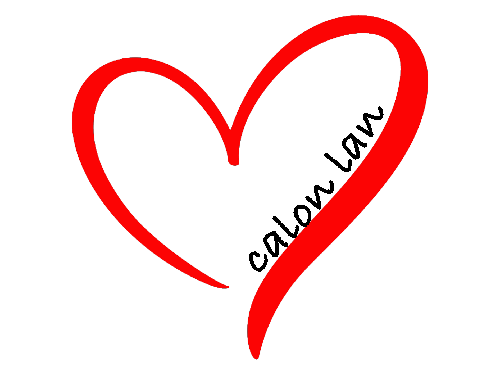 Calon Lan Ladies Hoodie image 9