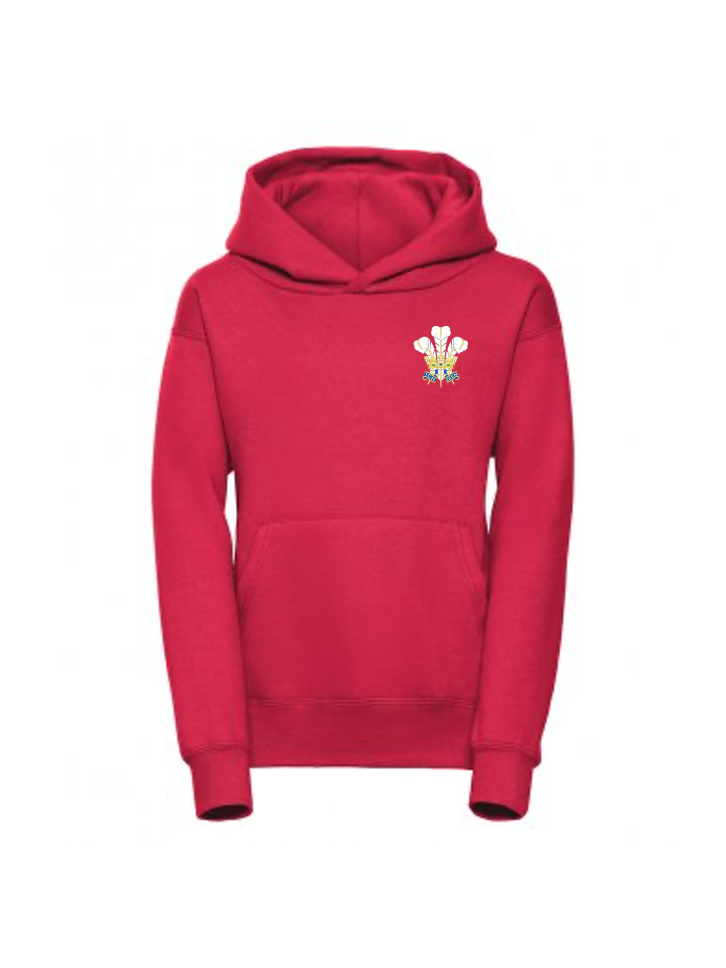 Adult Wales Hoodie image 0