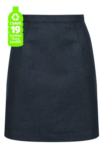 Maesydderwen Skirt image 0