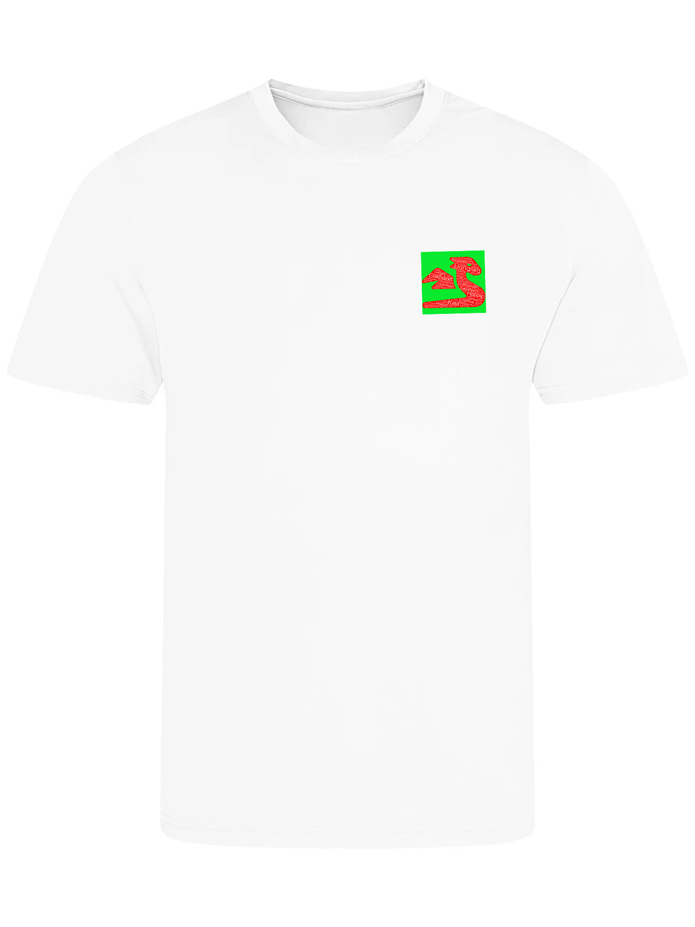 Llangiwg PE T-Shirt image 0