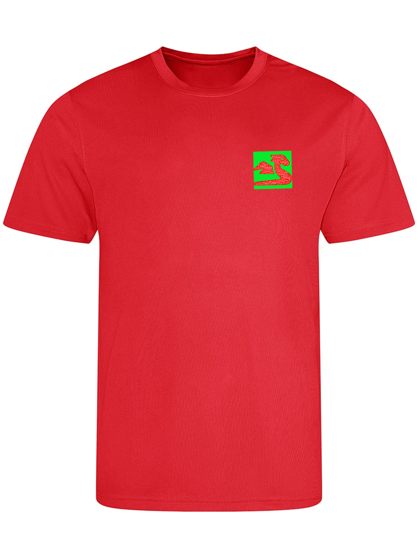 Llangiwg PE T-Shirt image 3
