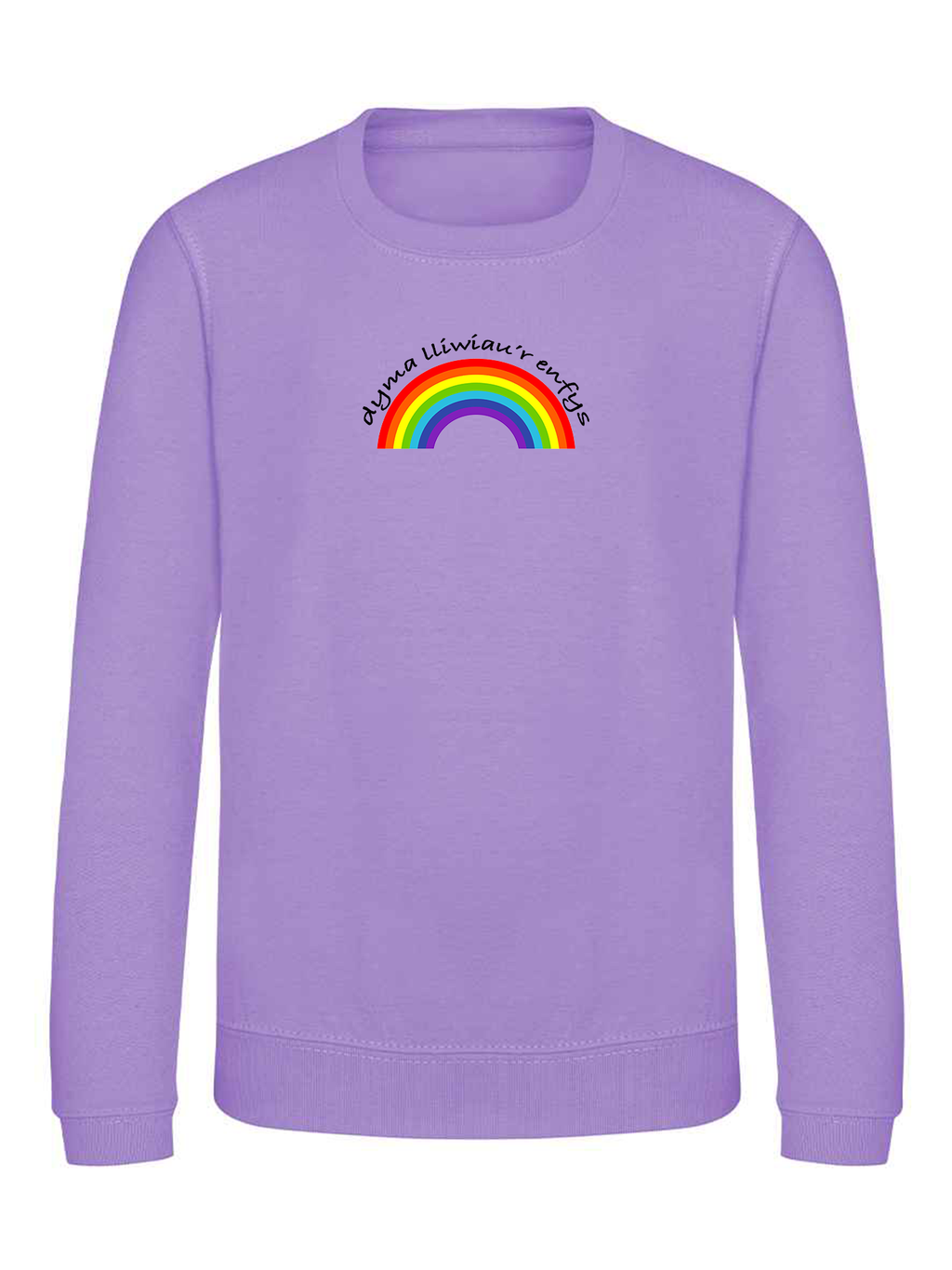 Dyma lliwiau’r enfys jumper image 2