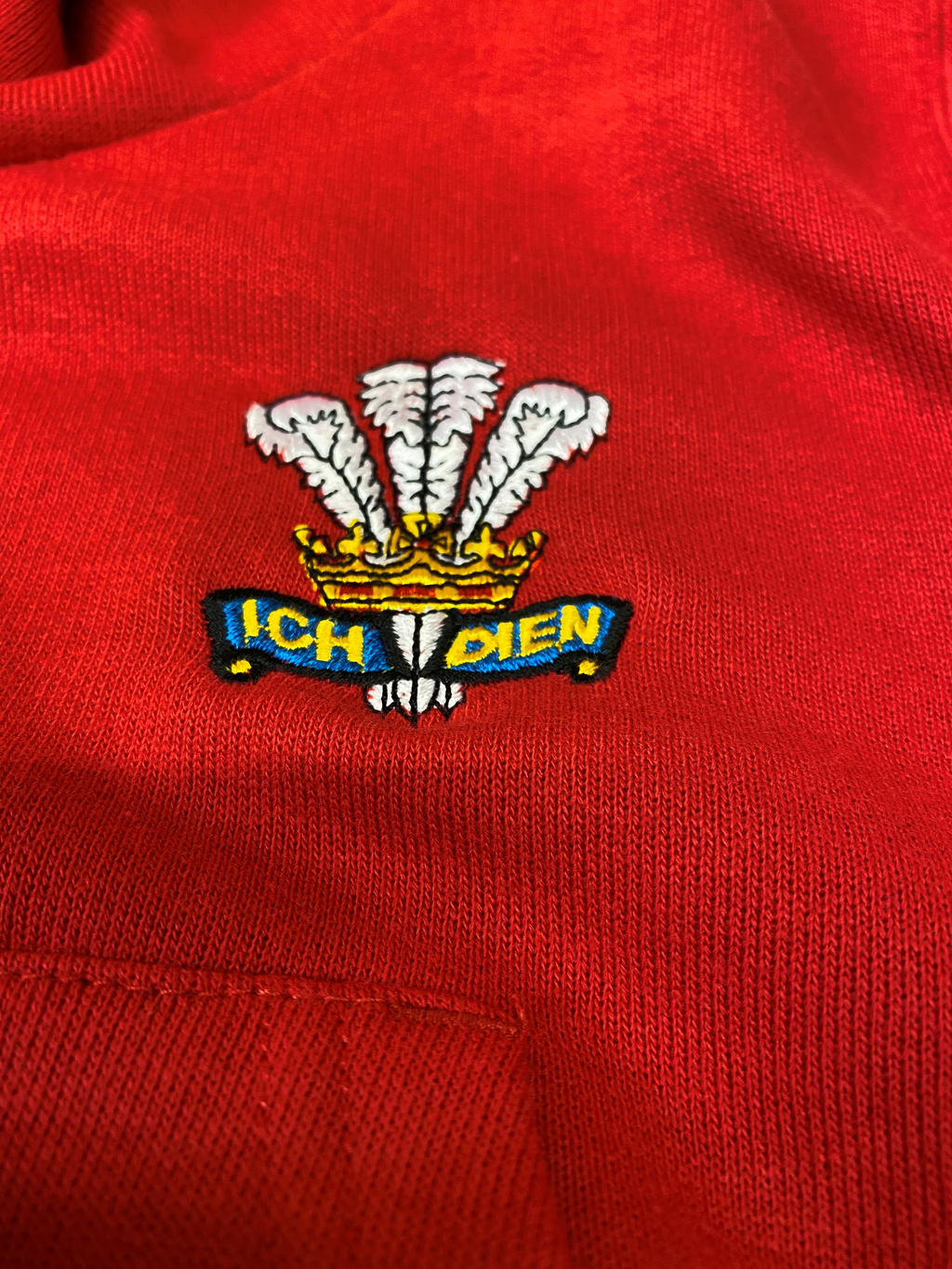 Childrens Wales Hoodie image 1