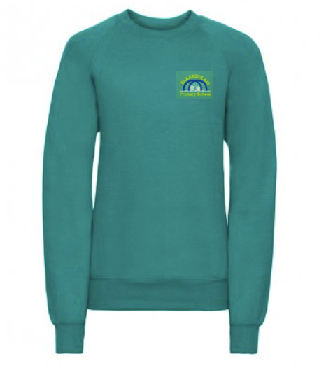 Blaendulais Primary Jumper image 0