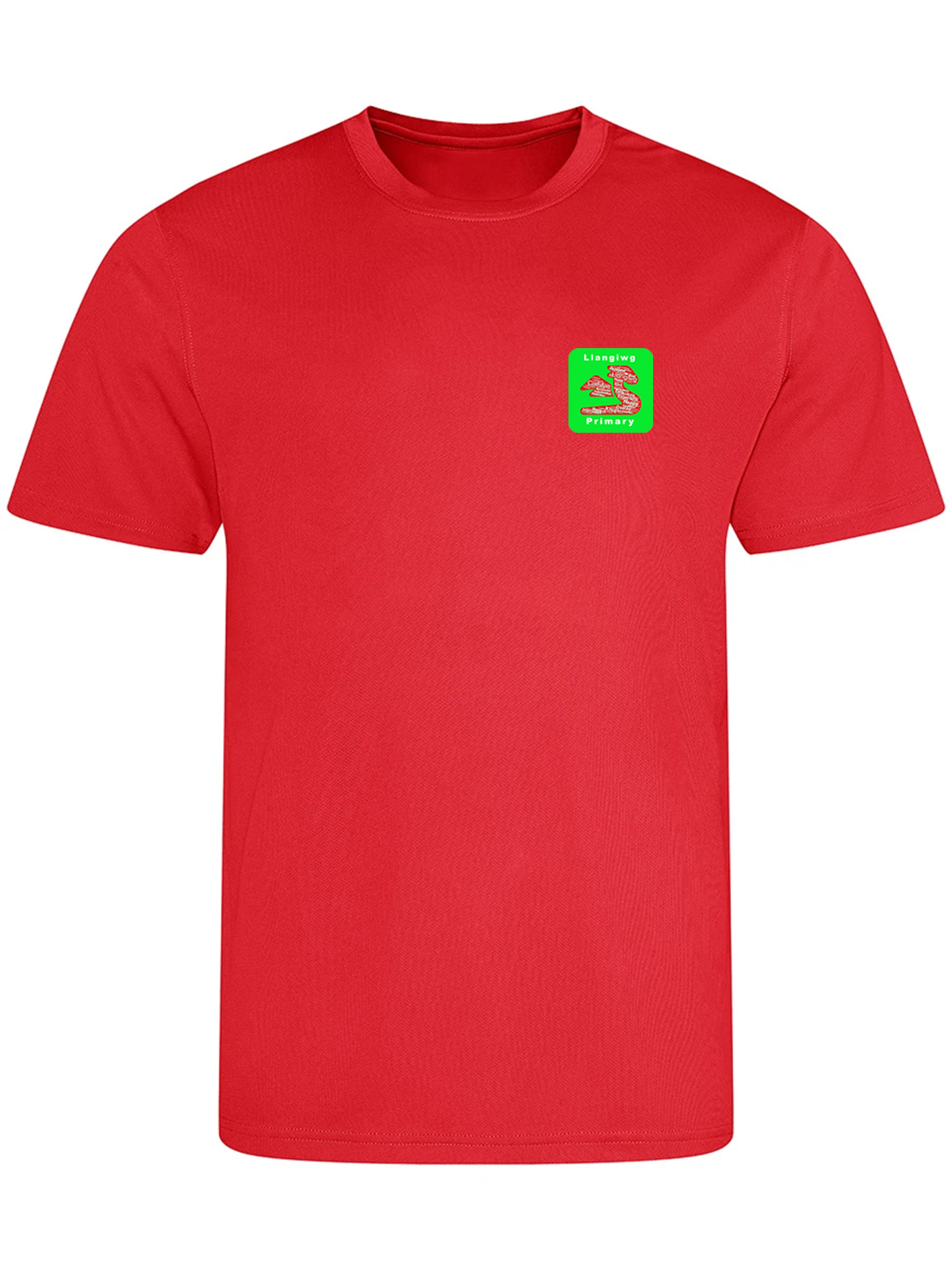 Llangiwg Primary School PE T-Shirt